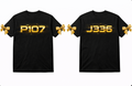 P107 & J336